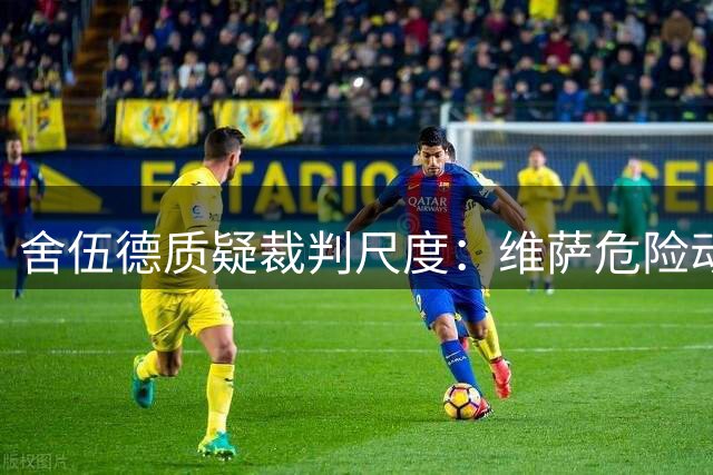 舍伍德质疑裁判尺度：维萨危险动作逃过红牌判罚